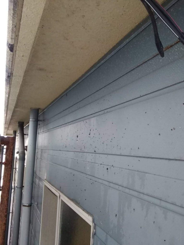 ハイハイネット,リフォーム,外壁,塗装,便利屋